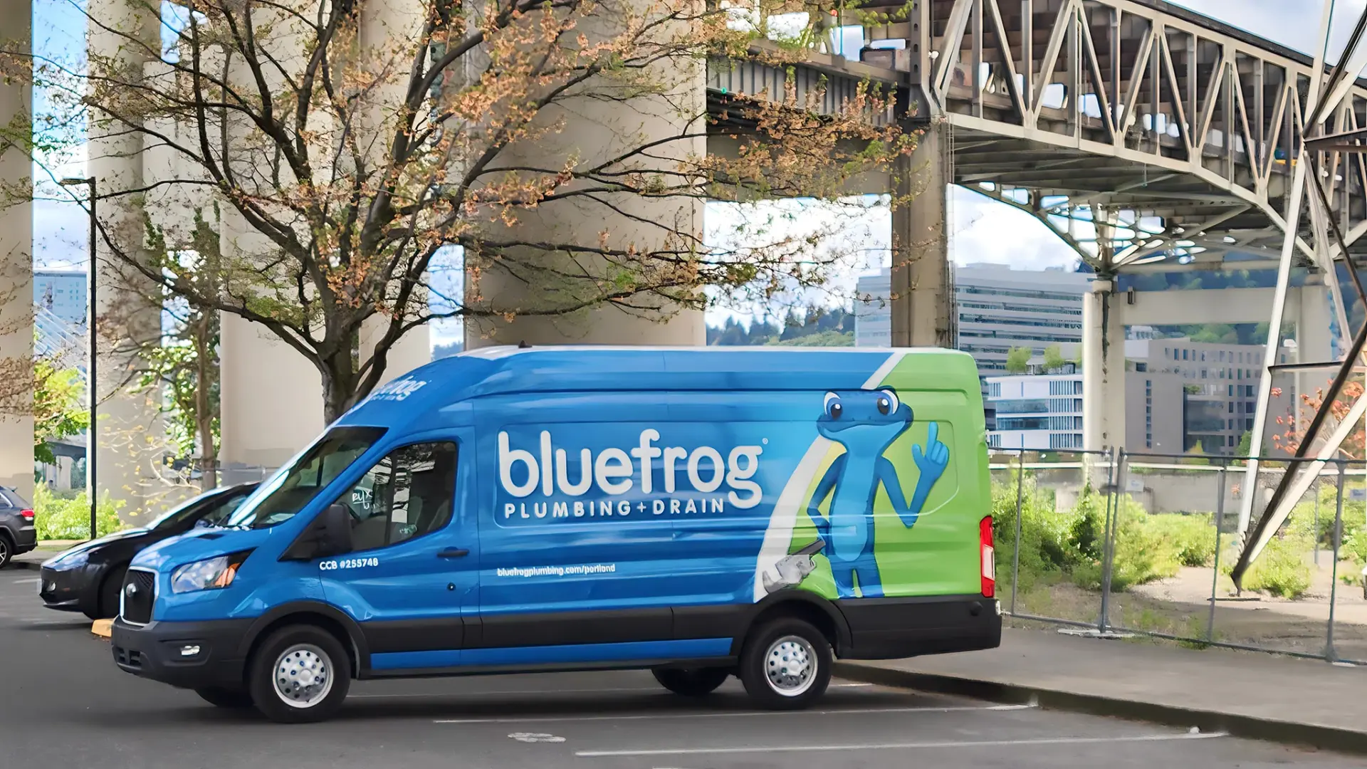 bluefrog_OMSI